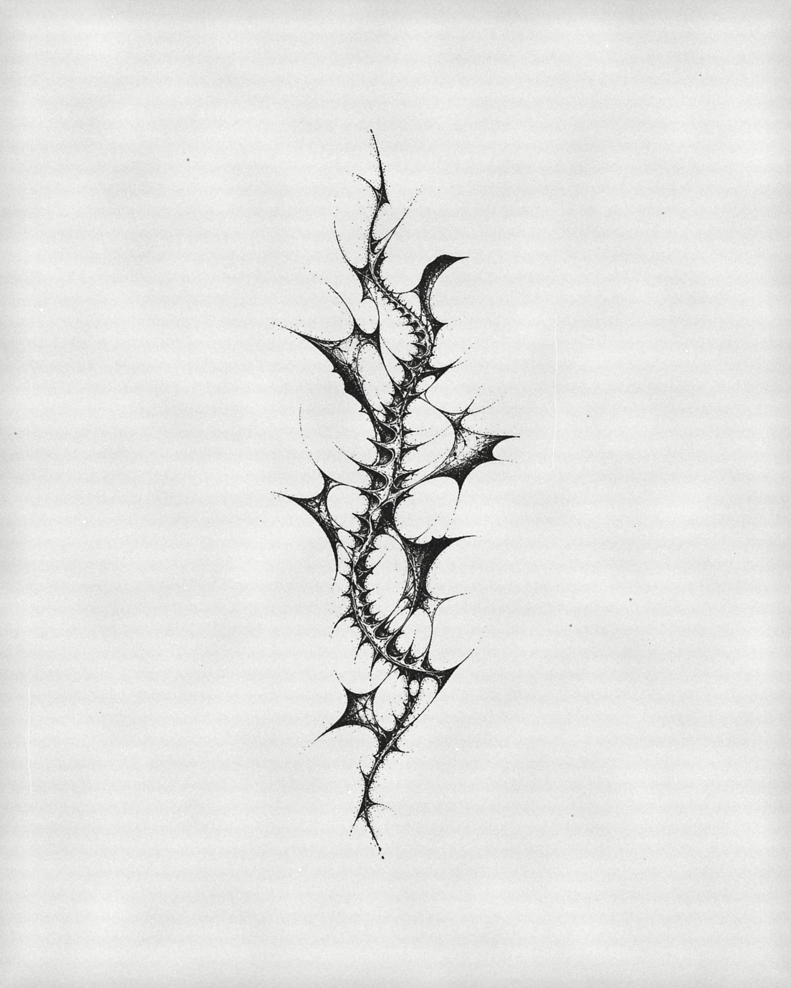 Vine, black ink drawing by Giulia Ferrante