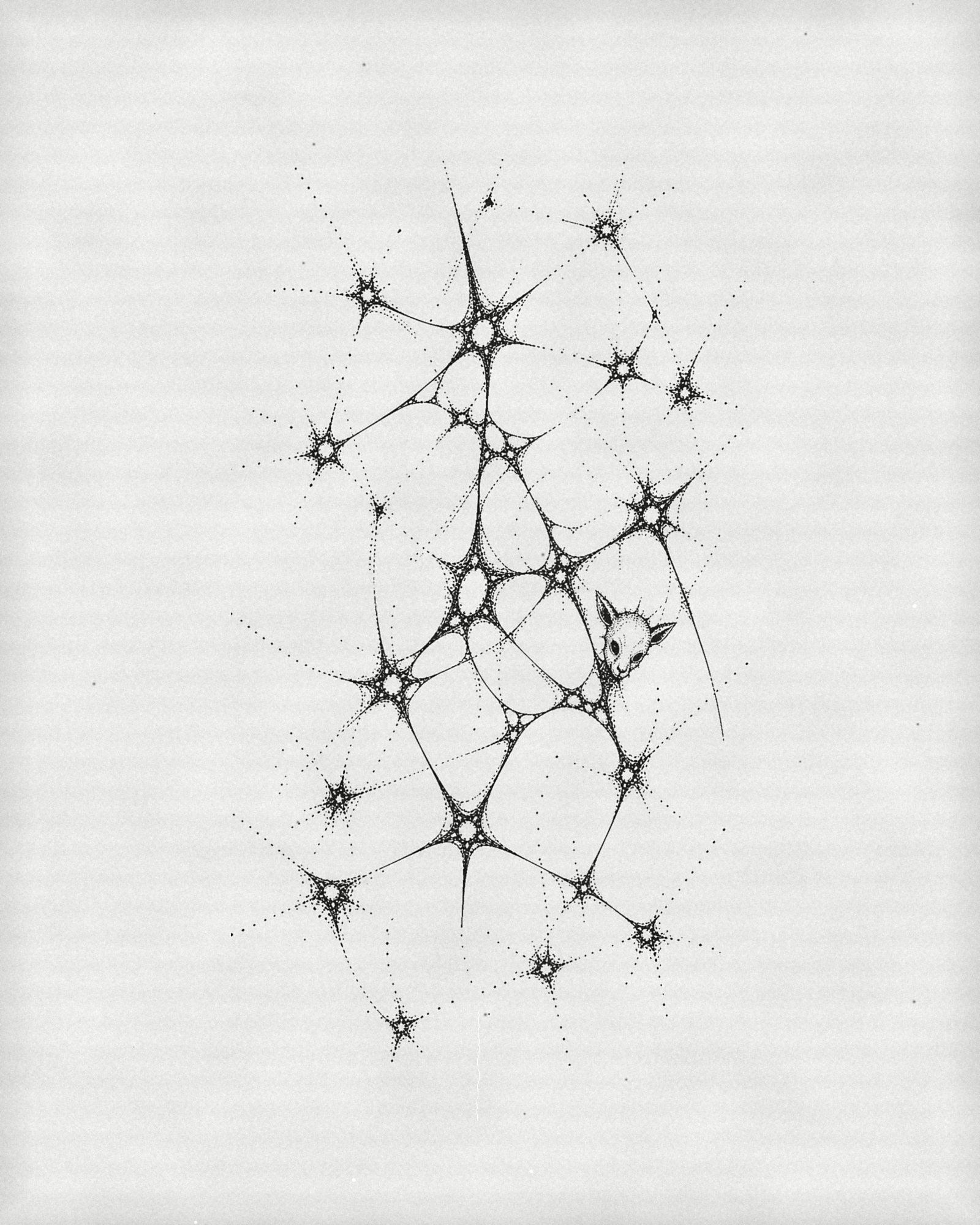 Web, black ink drawing by Noa De Luca