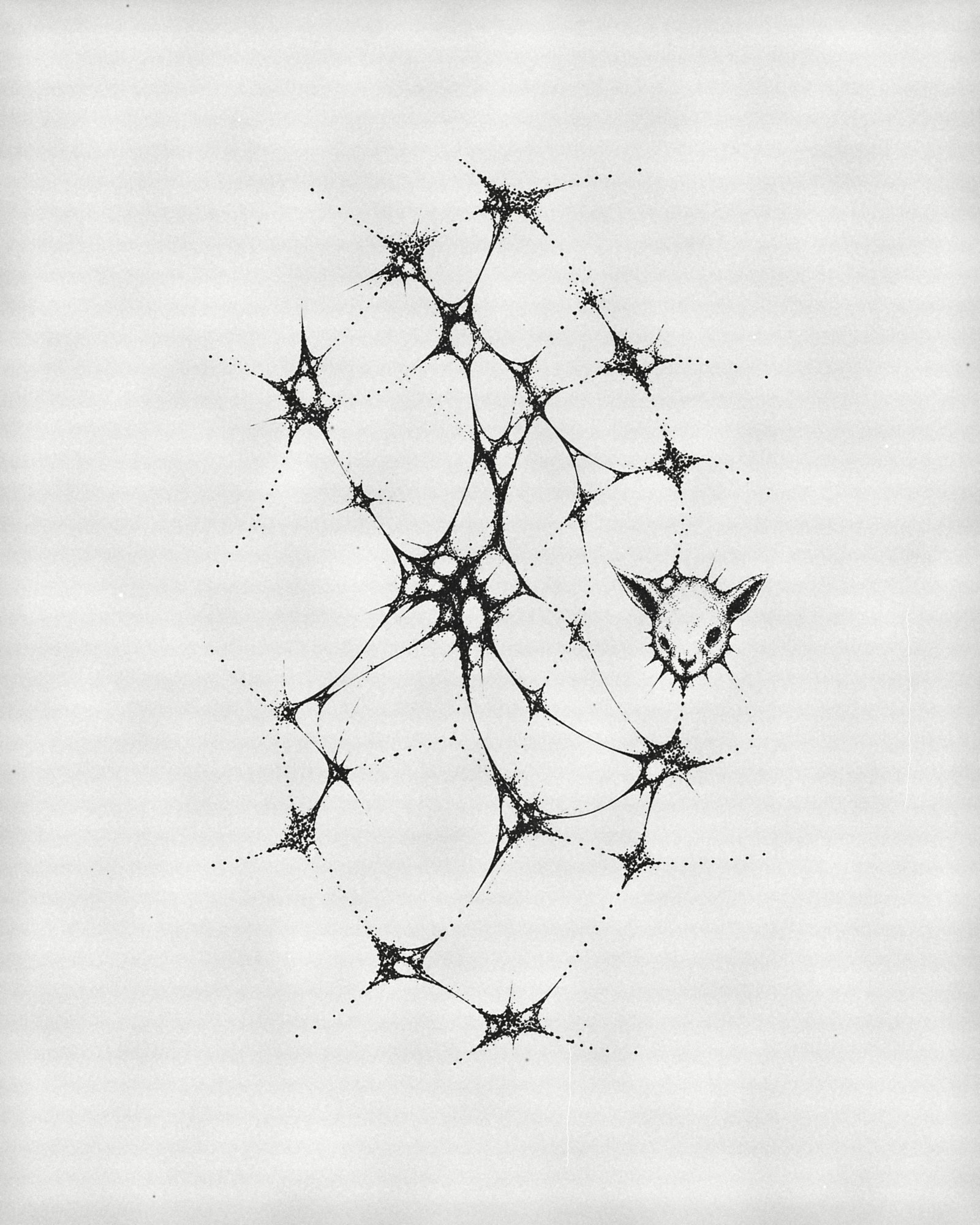 Web Familiar, black ink drawing by Noa De Luca